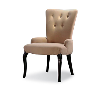 Annisa Dining Chair
